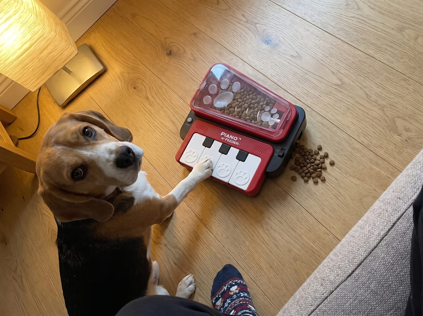 Customer photo review of PianoFeeder™ Interactive Dog Treat Dispenser