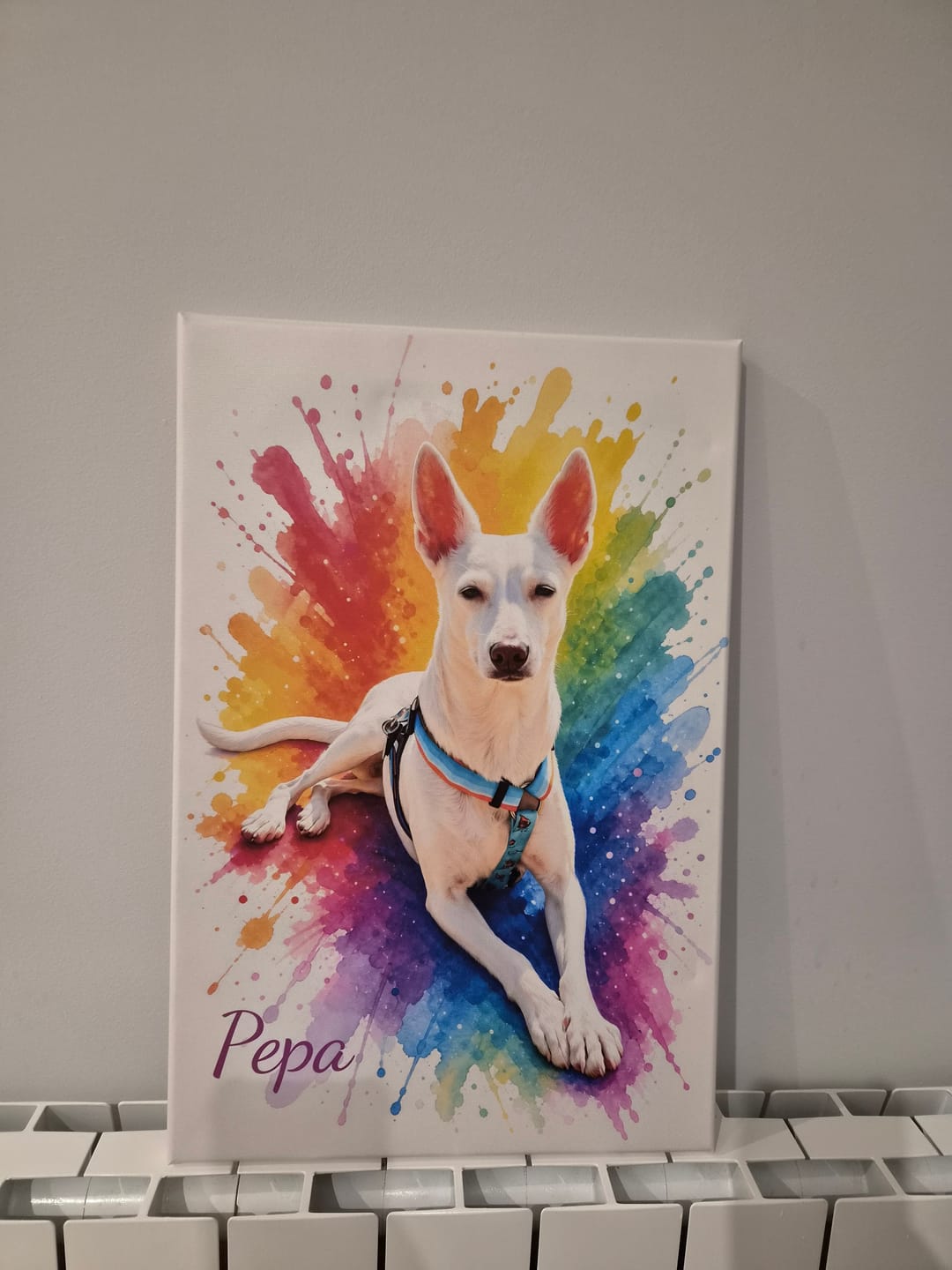 Customer photo review of Vuestra foto como obra de arte – con vista previa en vivo, como póster o lienzo