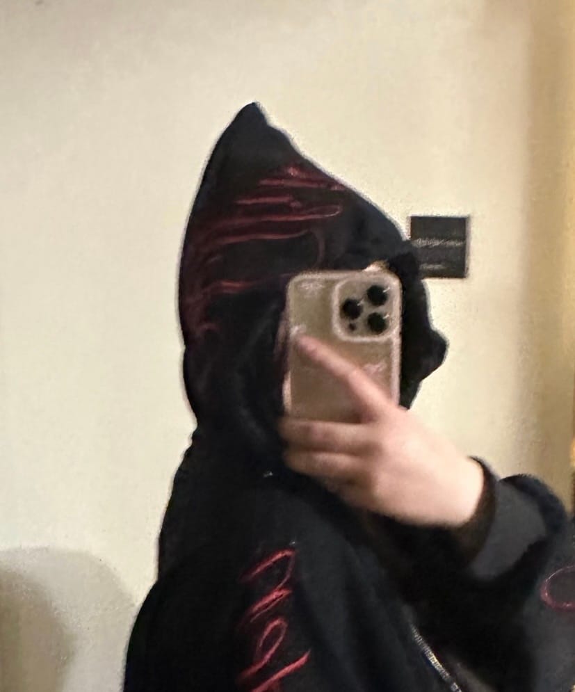 Customer photo review of Aelfric Eden Boxy Script Embroidery Hoodie Sets
