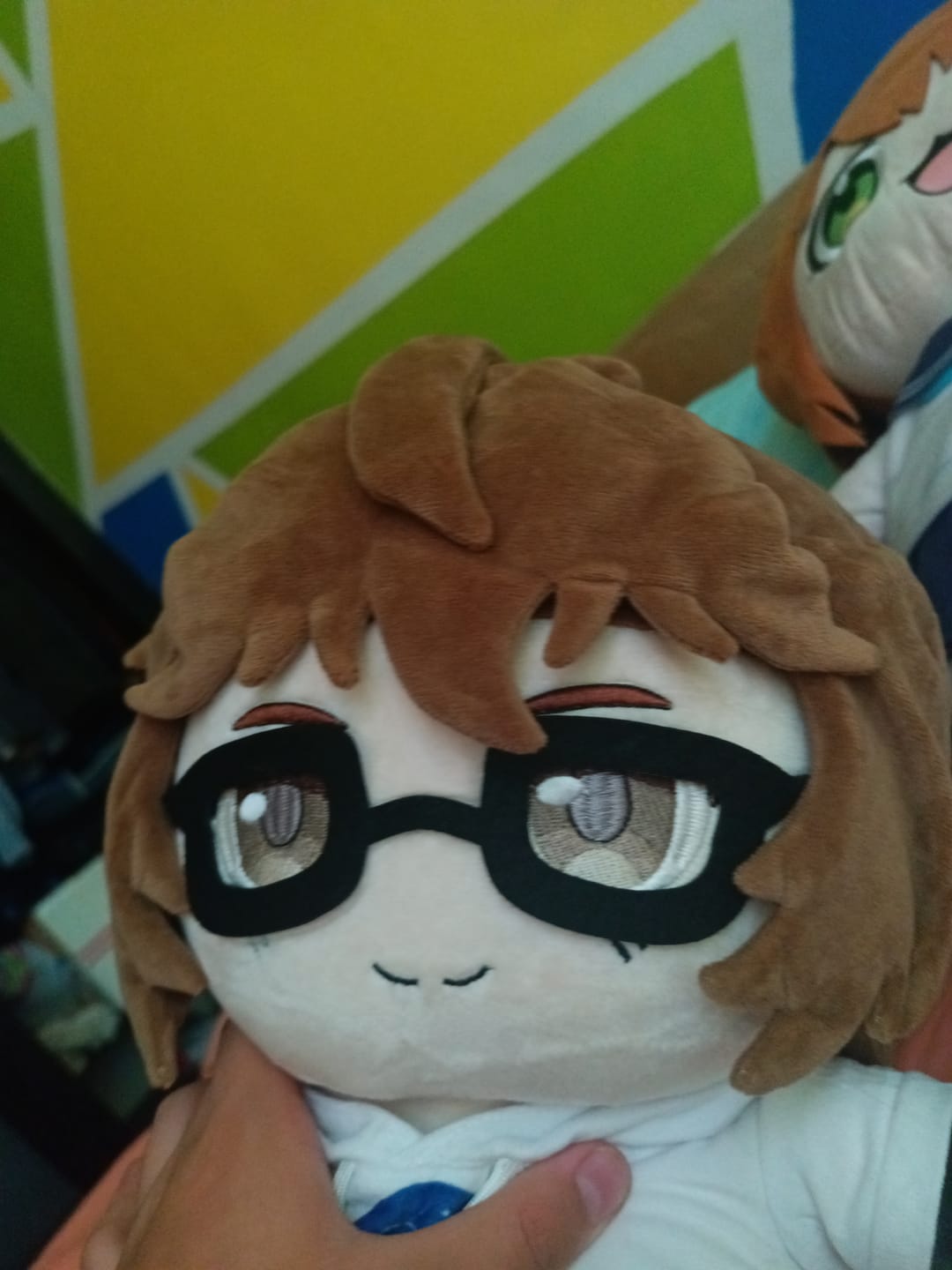 Customer photo review of Original Character (OC) Design Plush