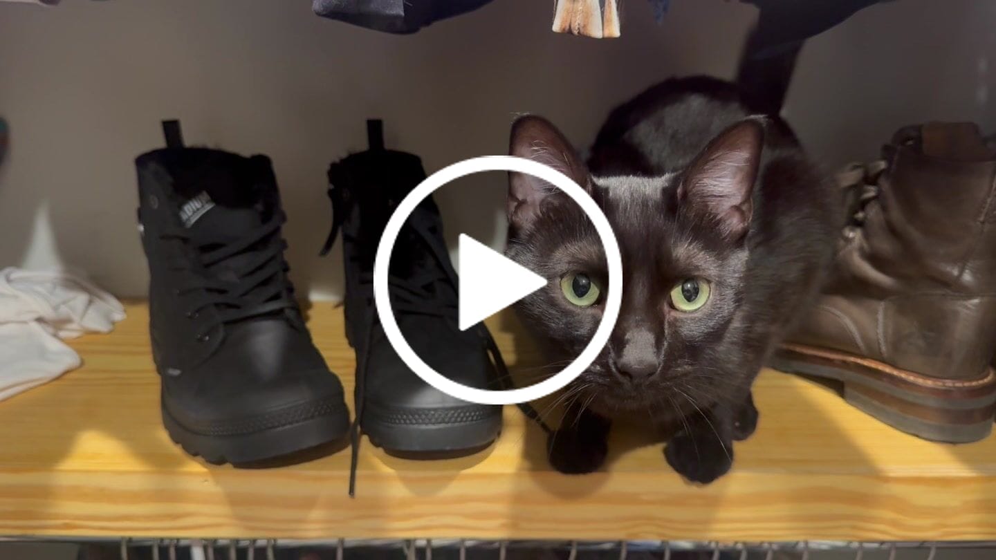 Customer video review of 95982-010-M | PAMPA HI ZIP WL | BLACK/BLACK