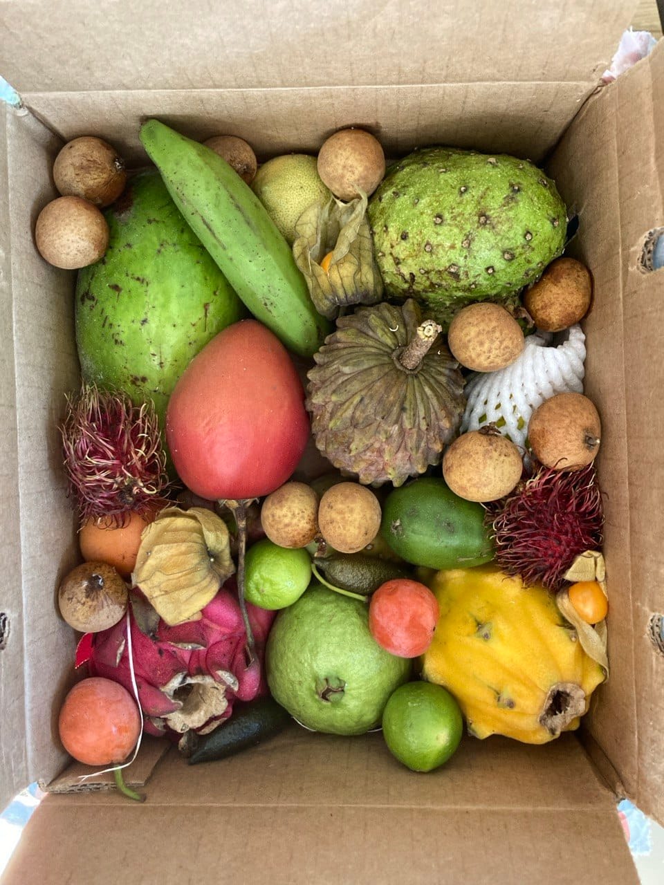 Customer photo review of Variety Box