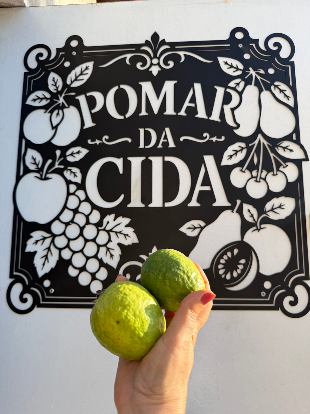 Customer photo review of Placa de Metal Personalizada - Fazenda