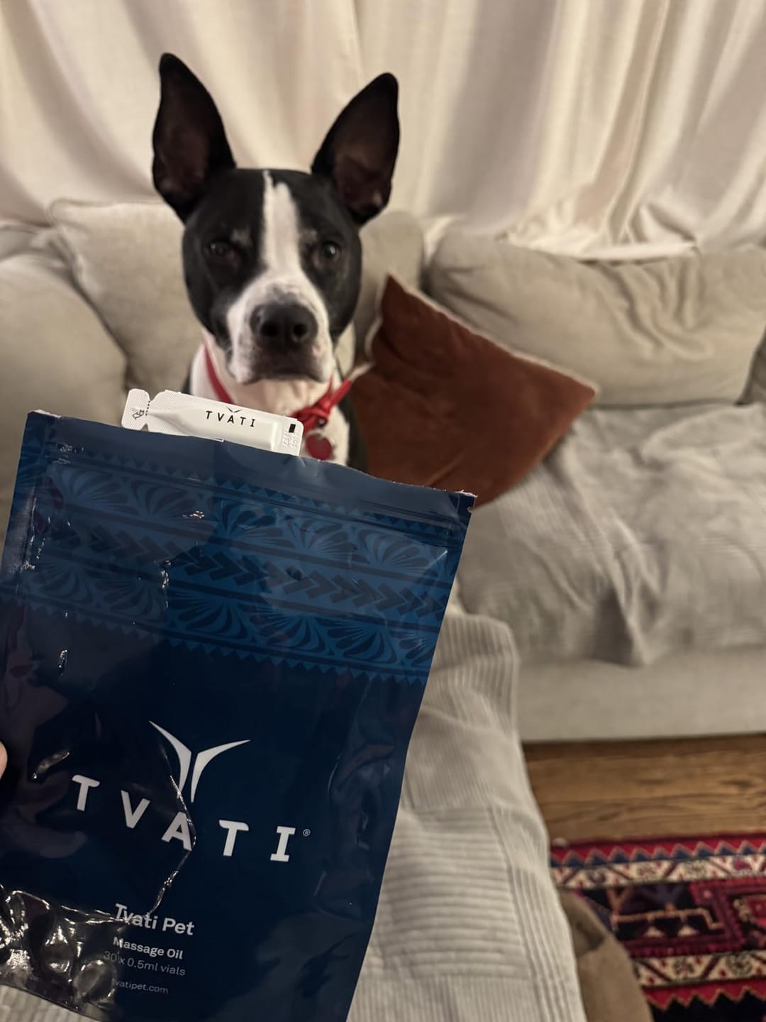 Customer photo review of Tvati Pet