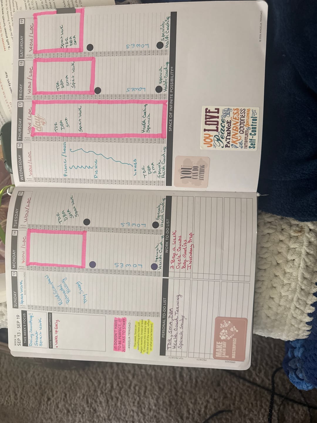 Customer photo review of Weekly 2026-2027 Mid-Year Planner - Eucalyptus Green Hardcover