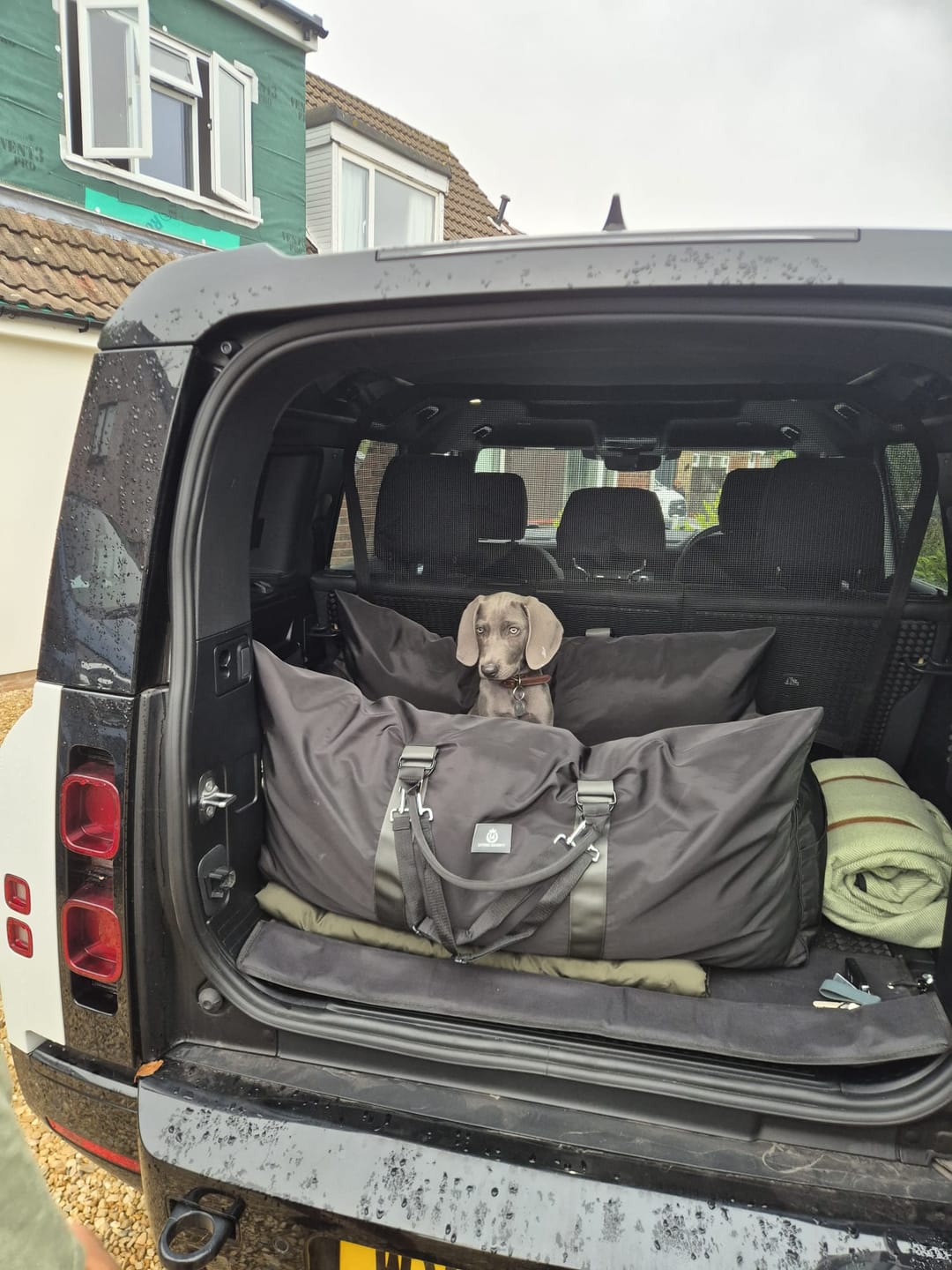 Customer photo review of Travel Dog Pod XL