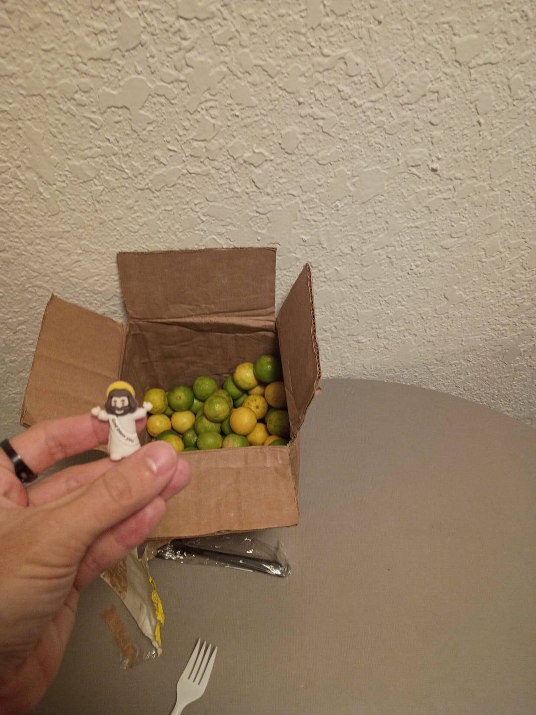 Customer photo review of Organic Key Limes 3 lbs