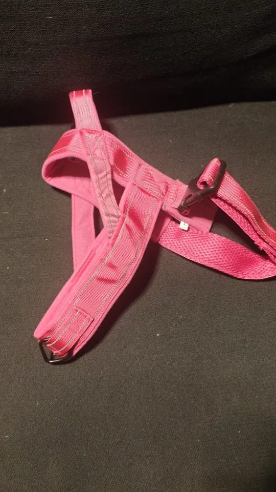 Customer photo review of Harnais anti-traction pour chien - KANINE