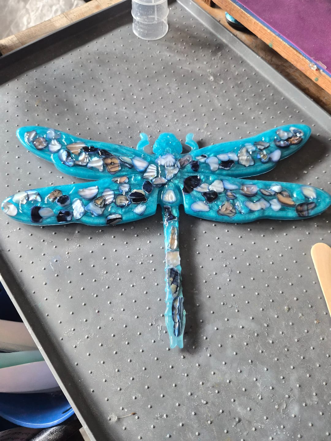 Customer photo review of 10.2x7.0x0.6" Dragonfly Relief 1 Silicone Mold