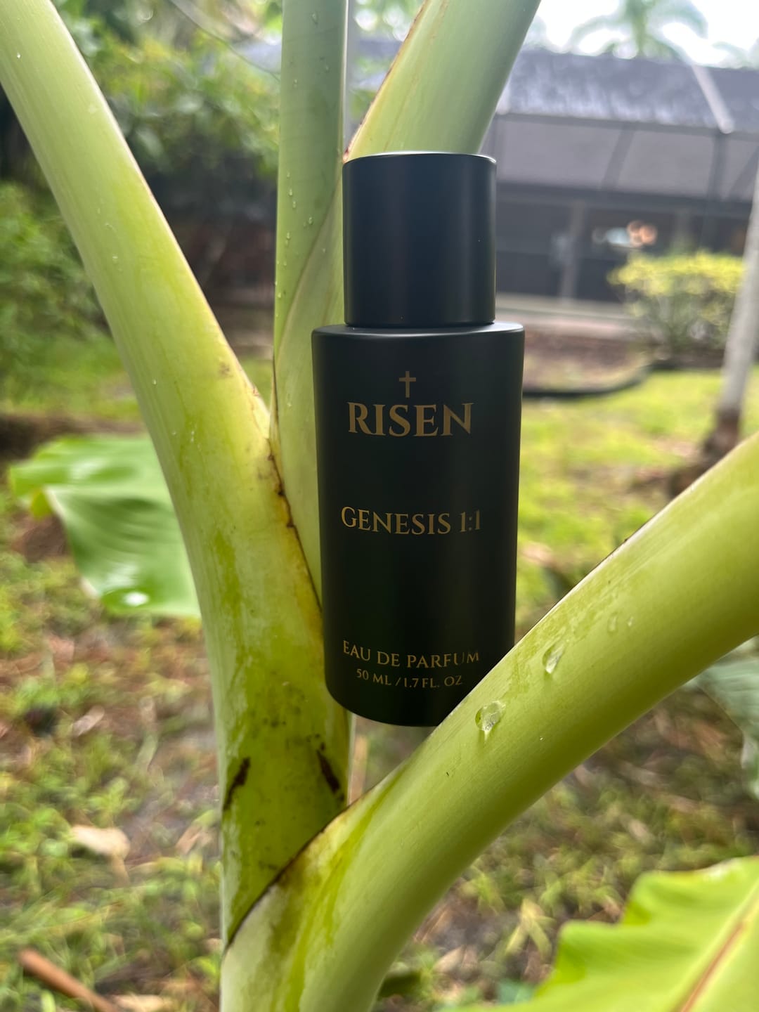 Customer photo review of Genesis 1:1