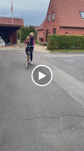 Customer video review of Kvisp Dog Bike Carrier