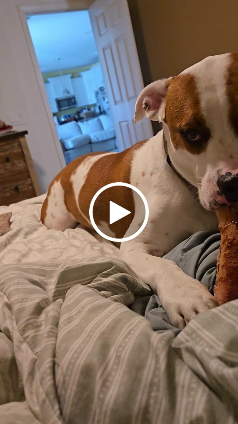 Customer video review of Smoked Beef Marrow Bones