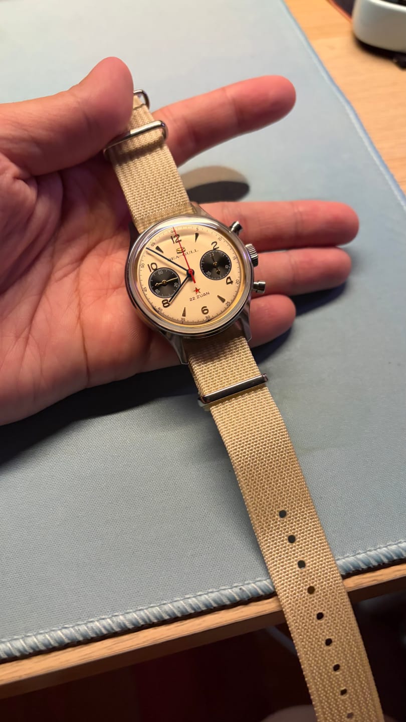 Customer photo review of Seagull 1963 Series | Polar Night Edition | Panda Eye | Vintage Chronograph | 37.3mm