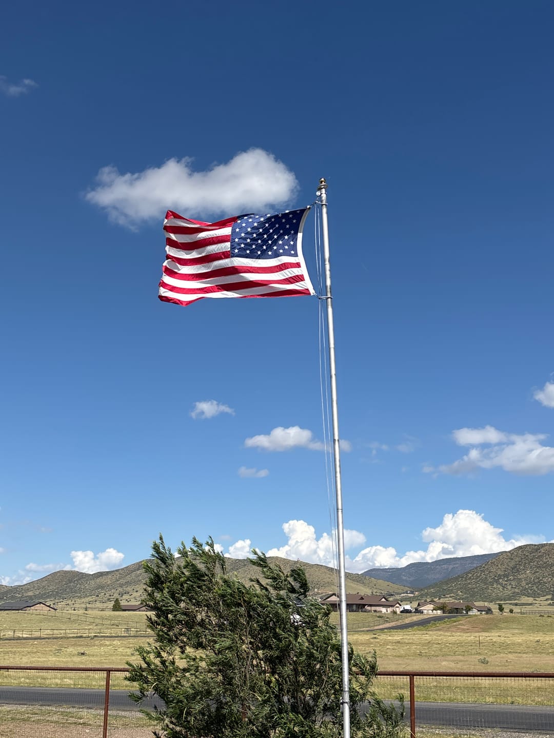 Customer photo review of 4' x 6' American Flag