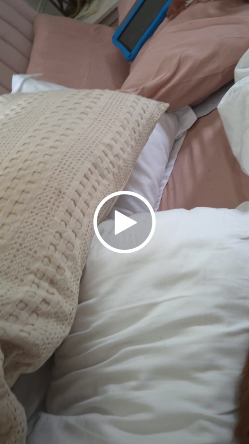 Customer video review of Waterproof & Stain-Resistant Hotel Pillow (2-Pack)