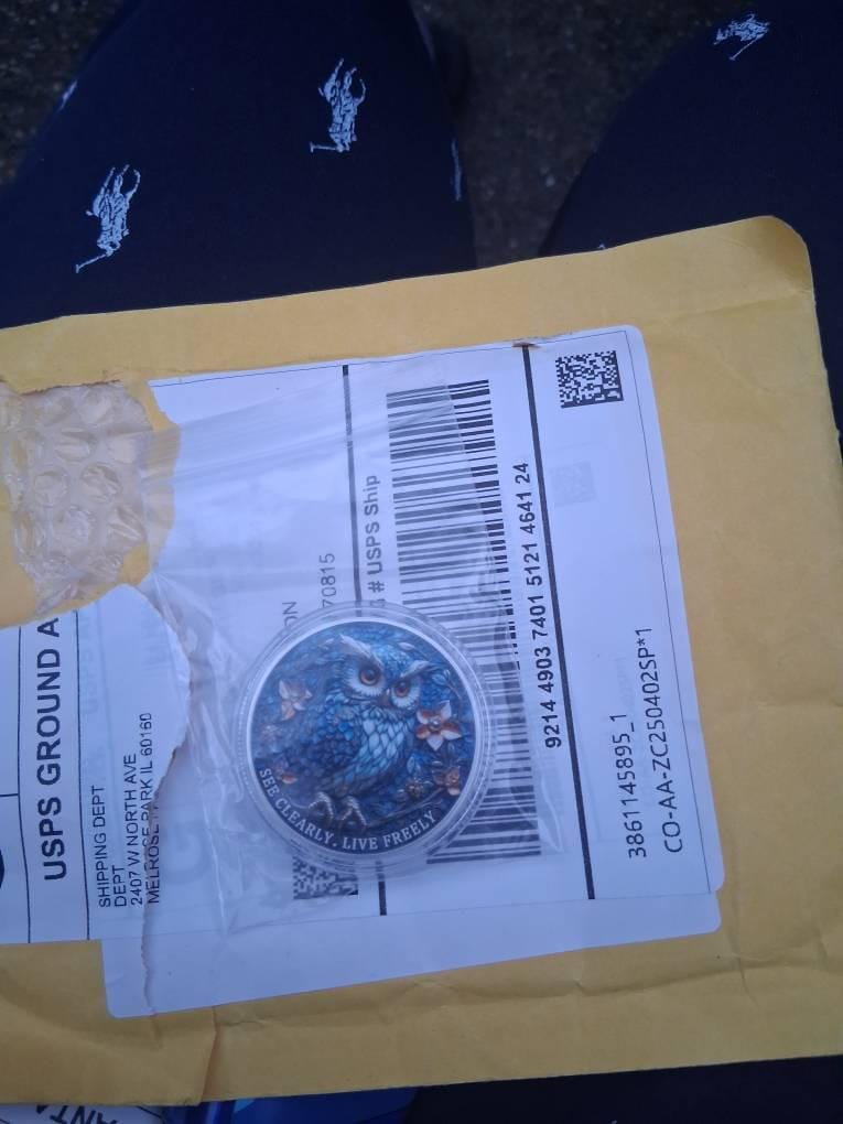Customer photo review of Owl & Recovery Triangle Sobriety Coin – See Clearly