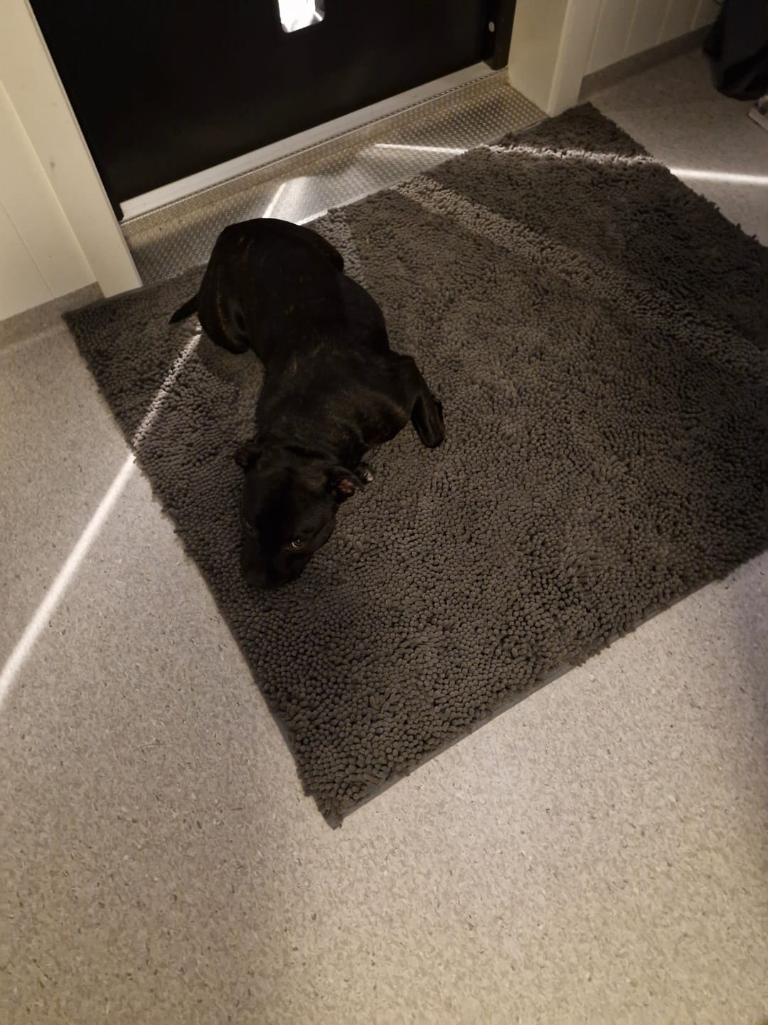 Customer photo review of Tassify – Mattan som håller ditt hem rent