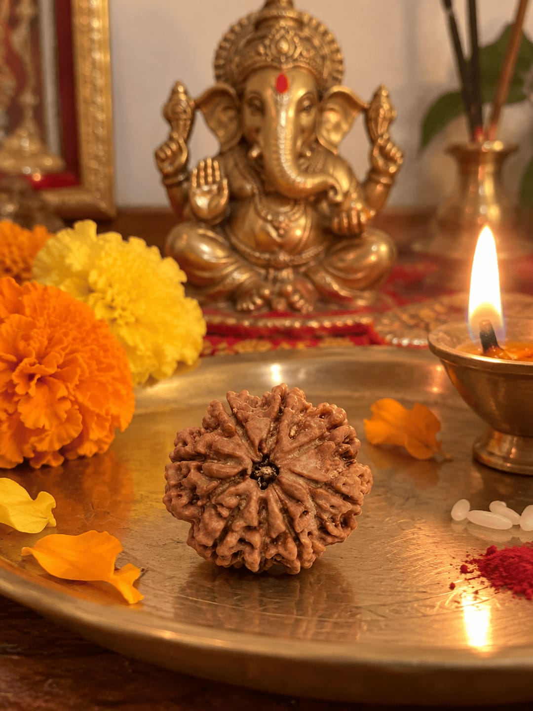 Customer photo review of 8 Mukhi Rudraksha (Nepali)