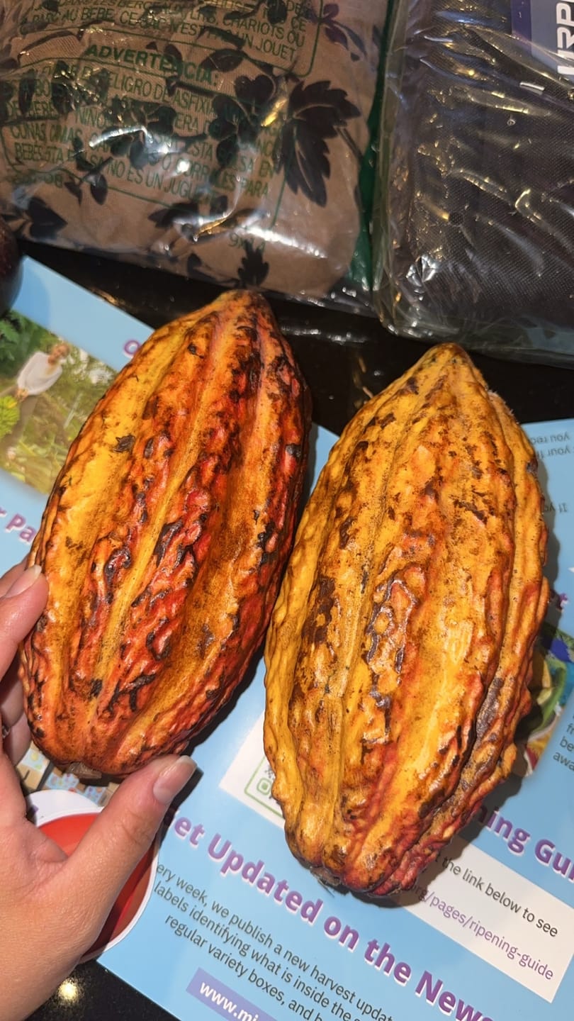 Customer photo review of Build Your Own Tropical Fruit Box