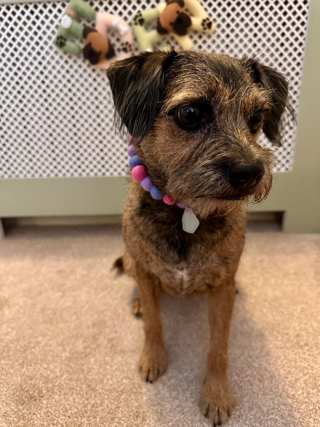 Customer photo review of Create your own Sea Glass Pom Pom Collar
