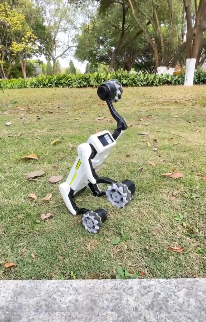 Customer photo review of 3-in-1 Interactive Robot Dog with Voice Control, Remote & Programmable Tricks