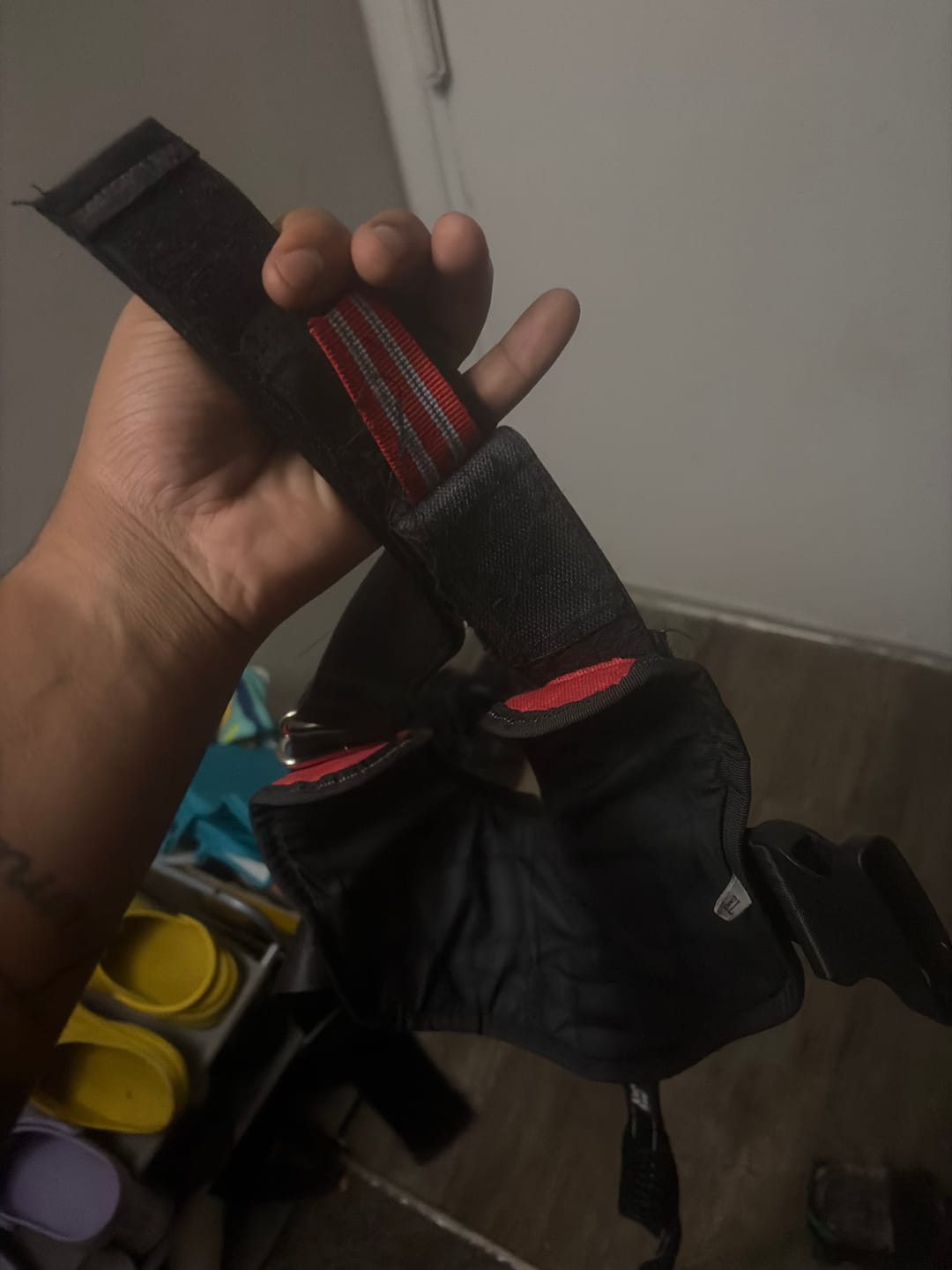 Customer photo review of Bungee Leash