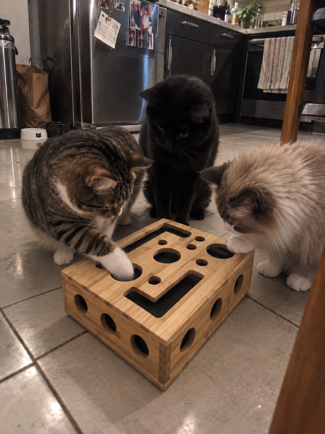 Customer photo review of SoftPaw™ Claw Care Box