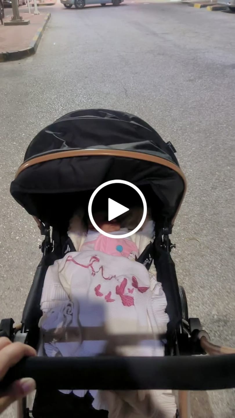 Customer video review of Teknum Reversible Trip 2 Stroller (Black)