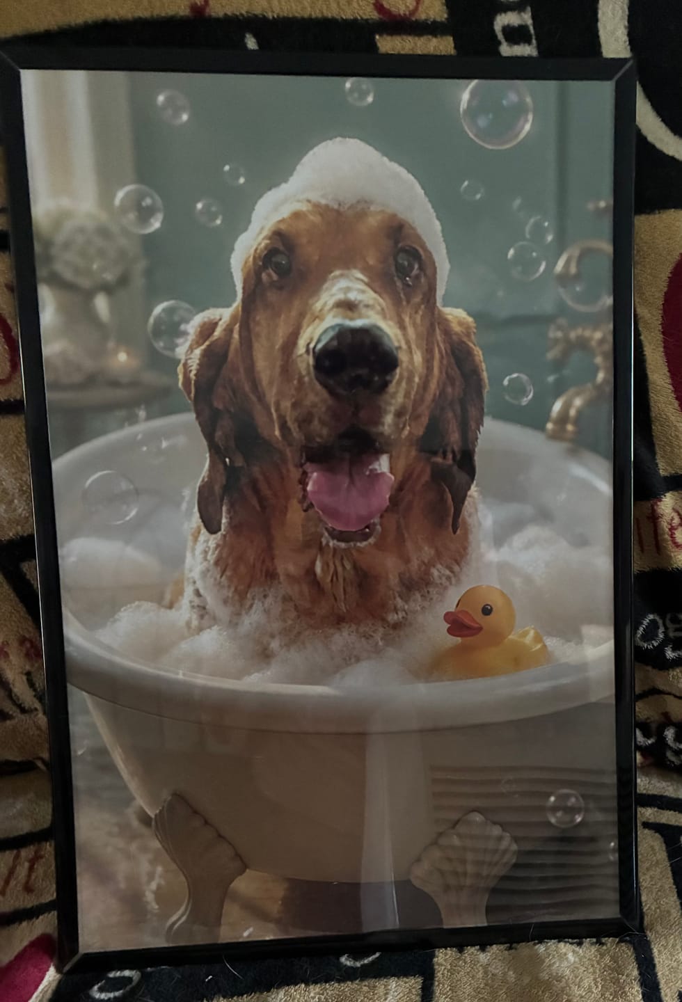 Customer photo review of Bathroom - Personalized Poster