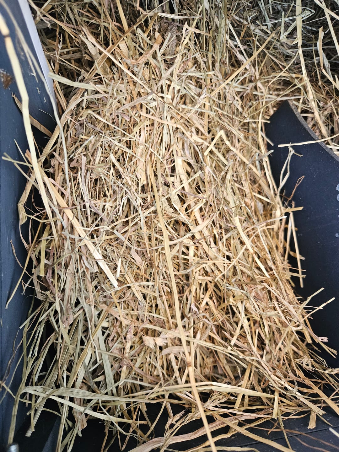 Customer photo review of Foin de prairie