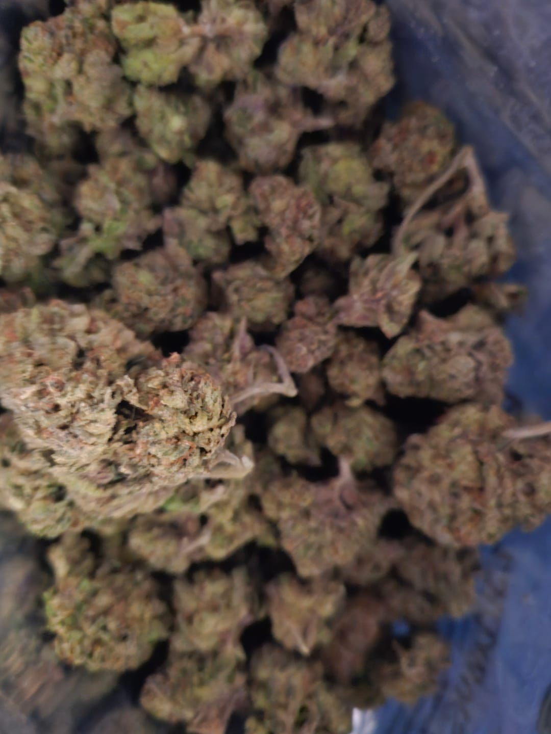 Customer photo review of Light Assist THCA Smalls