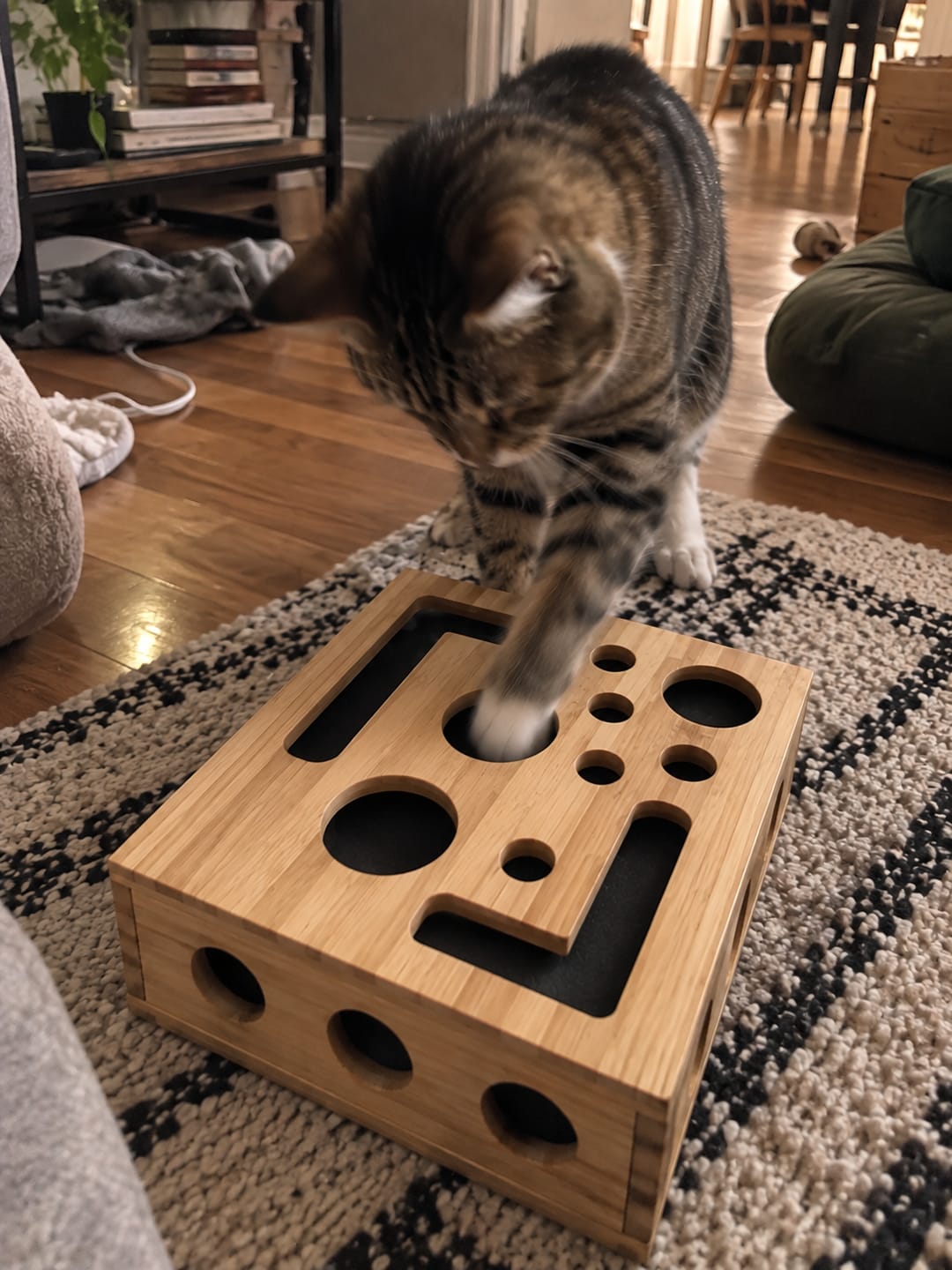 Customer photo review of SoftPaw™ Claw Care Box
