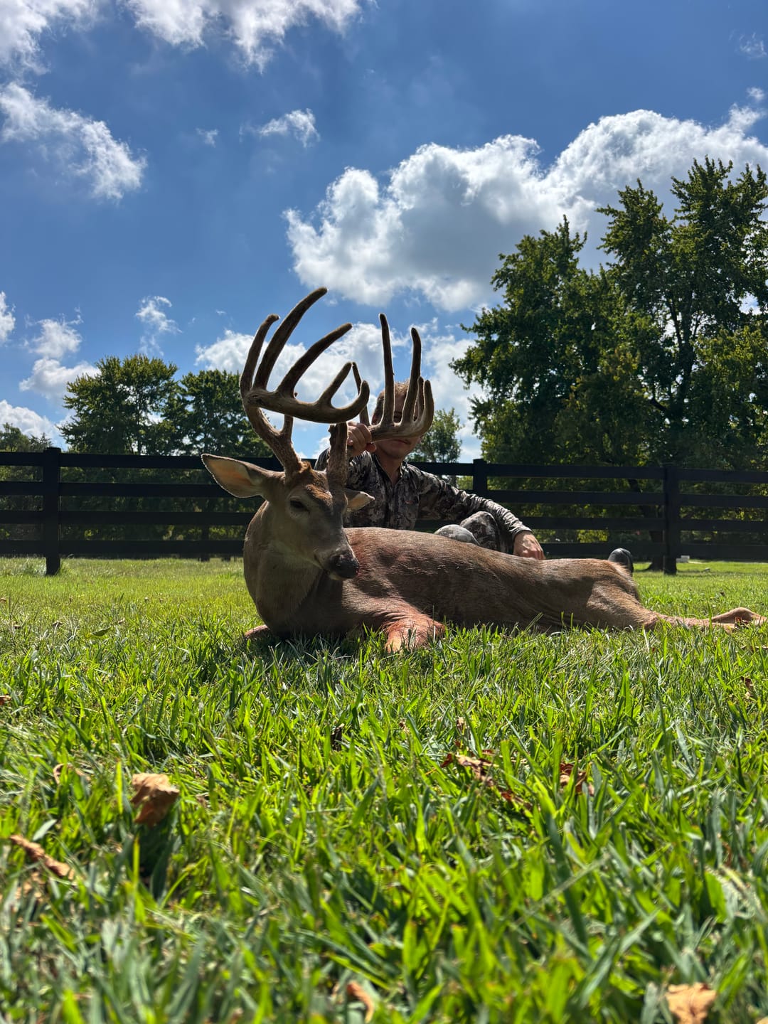 Customer photo review of VisMax See Through Blind | 270° Pop Up 3-4 Man Deer Blind | Portable Ground Blind Hunting for Sale with Hunters Comfort Design