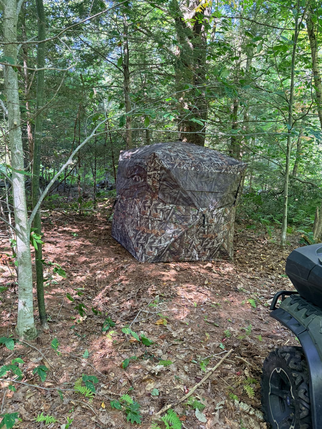 Customer photo review of OptiVue 360° Ultra-HD See-Through Hunting Blind with 90° Full-Access Door
