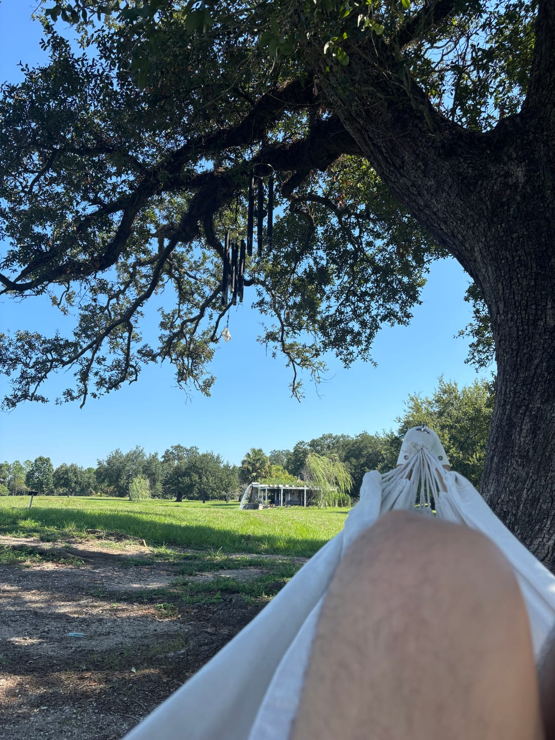 Customer photo review of The Go Hammock (Pre-sale)