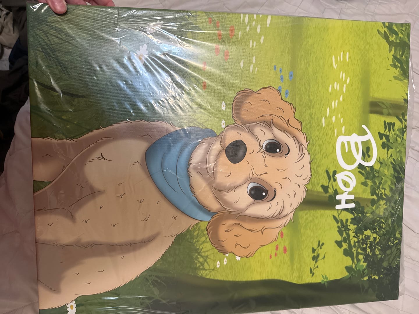 Customer photo review of Custom Hand-Drawn Cartoon Pet Portrait