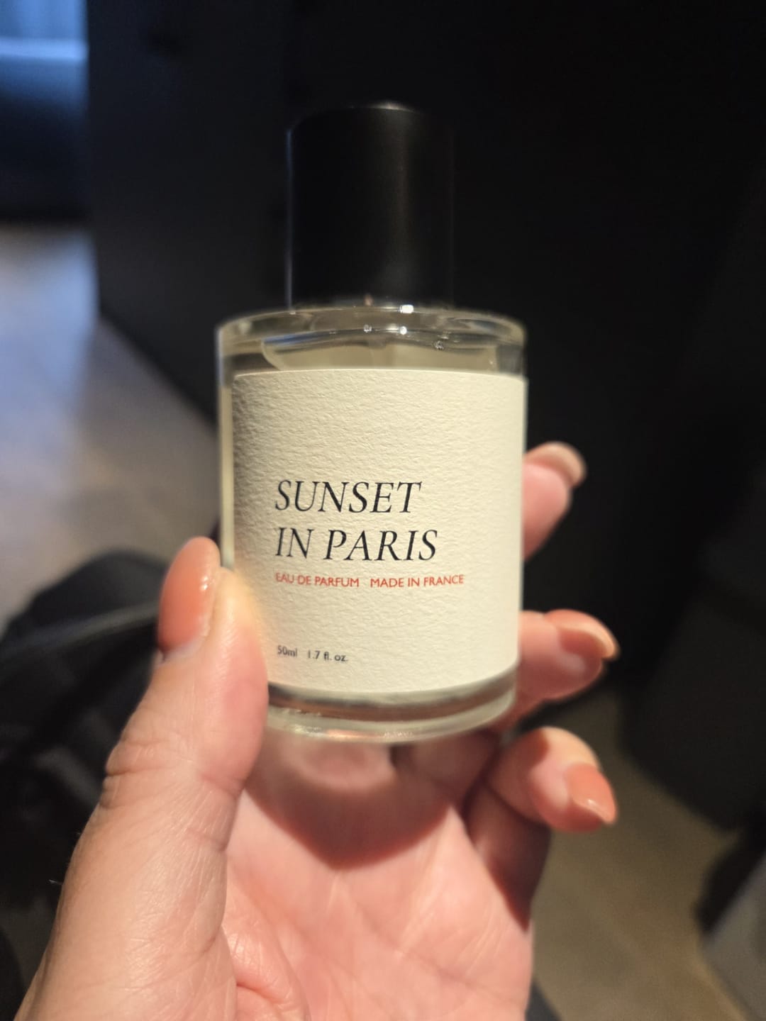 Customer photo review of Sunset in Paris