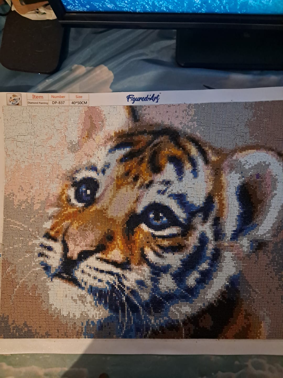 Customer photo review of Broderie Diamant - Bébé Tigre