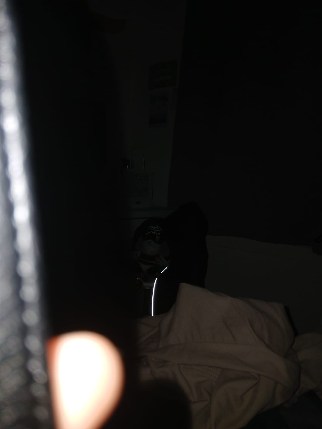 Customer photo review of V Plush