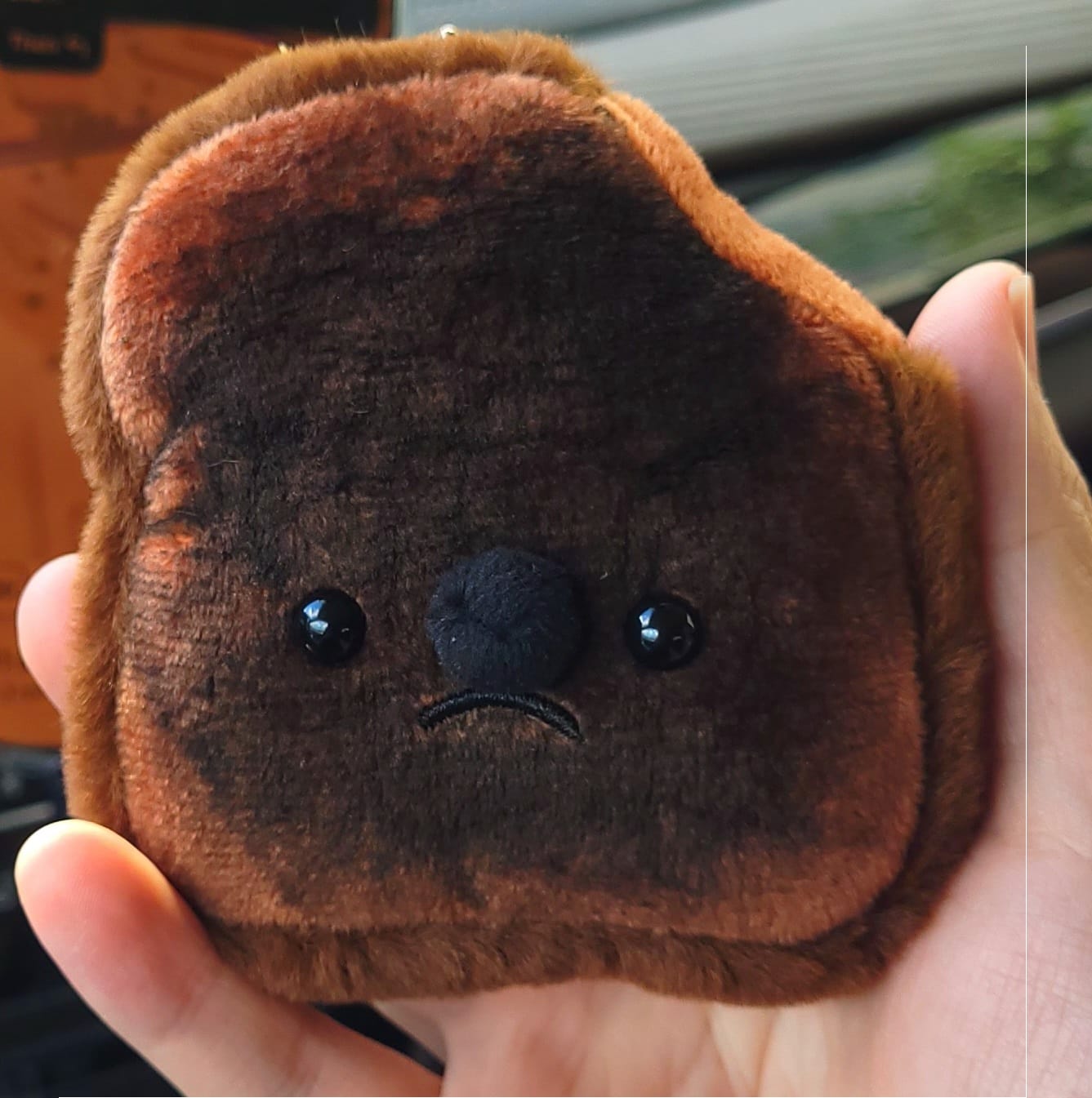 Customer photo review of Forgotten Burnt Toast (SOLD OUT- Preorder for Sep)