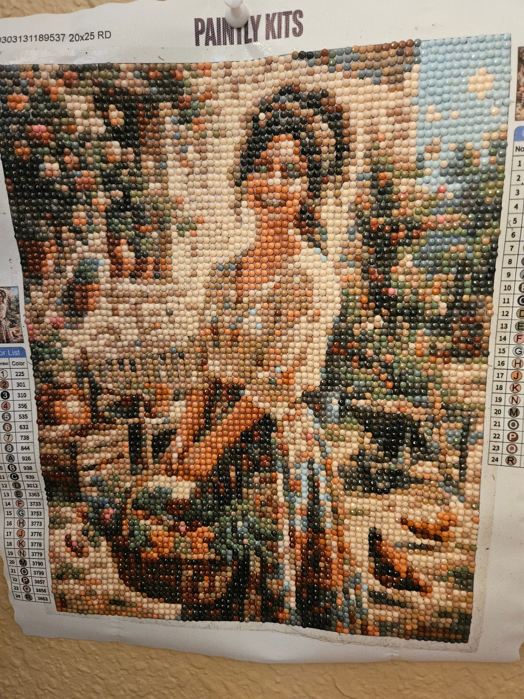 Customer photo review of Garden Girl With Harvest Basket (Diamond Painting)