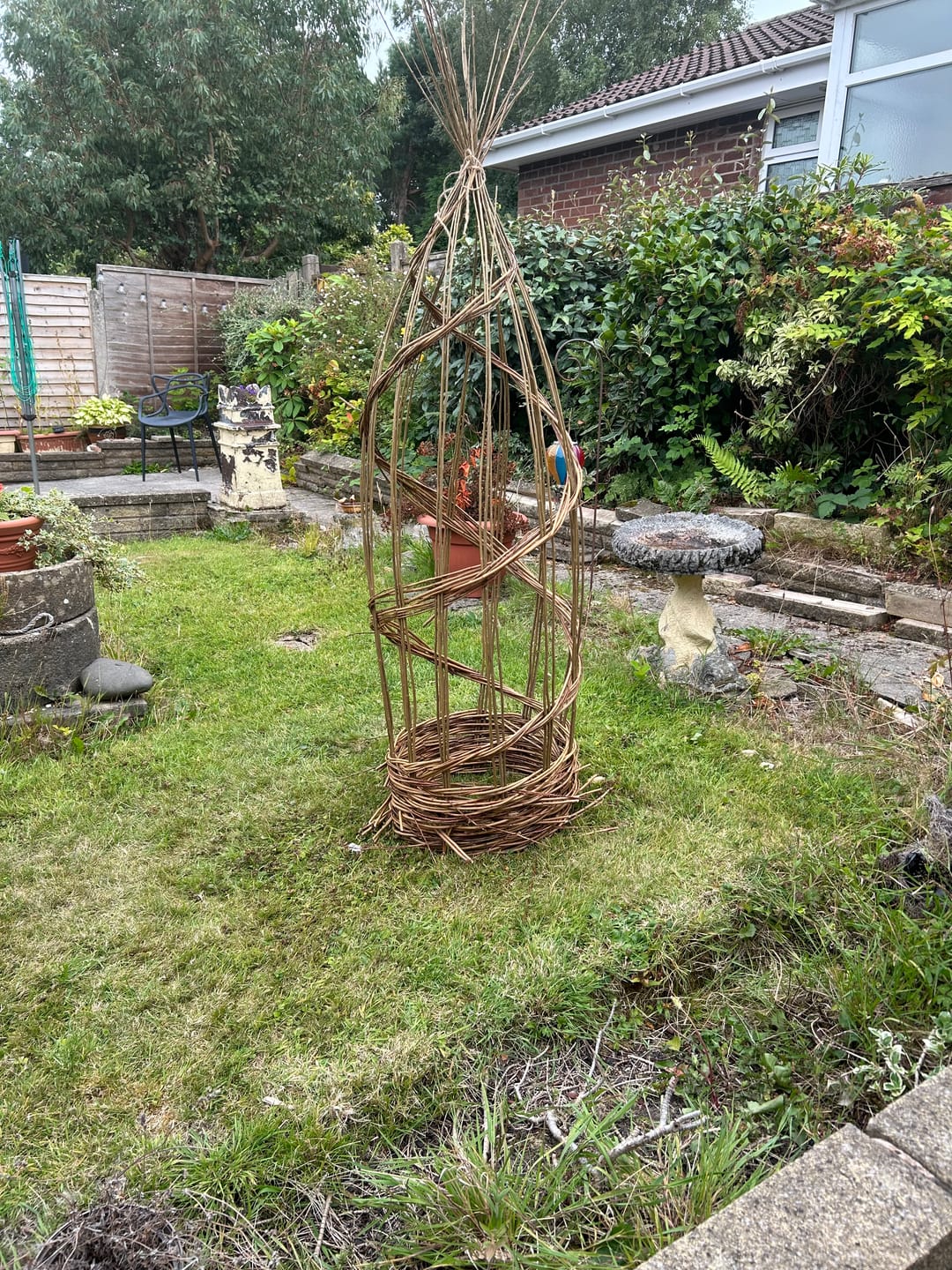 Customer photo review of The Willow Plant Support - Online Course and Kit