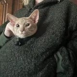 Customer photo review of PawHug™ Cozy Pet Hoodie