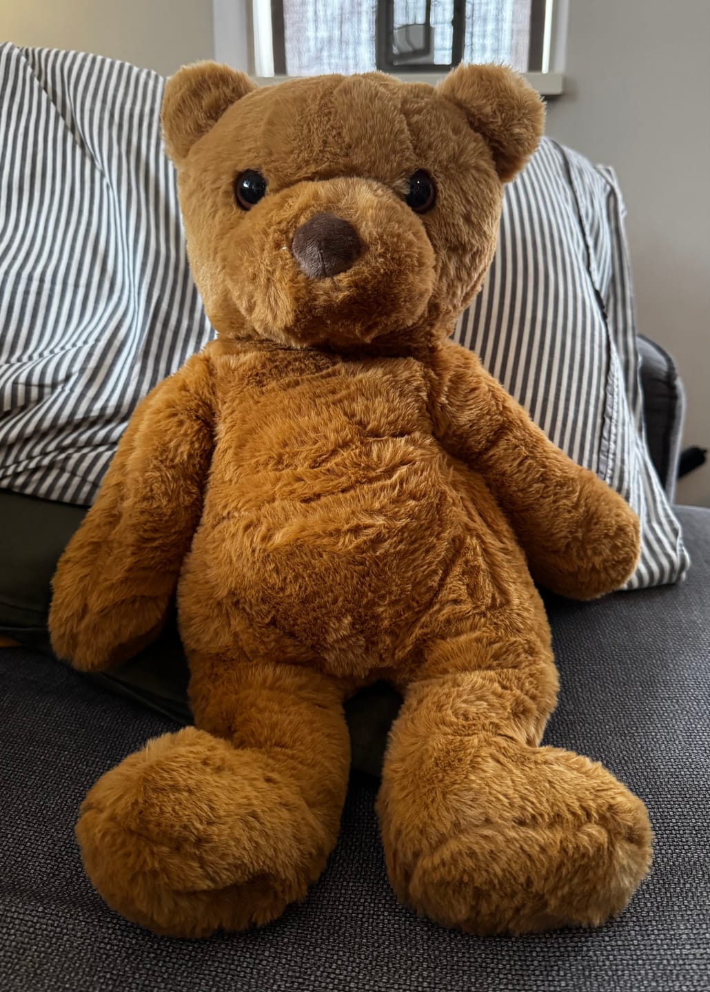 Customer photo review of Verzwaringsknuffel Beer 2,2 kg