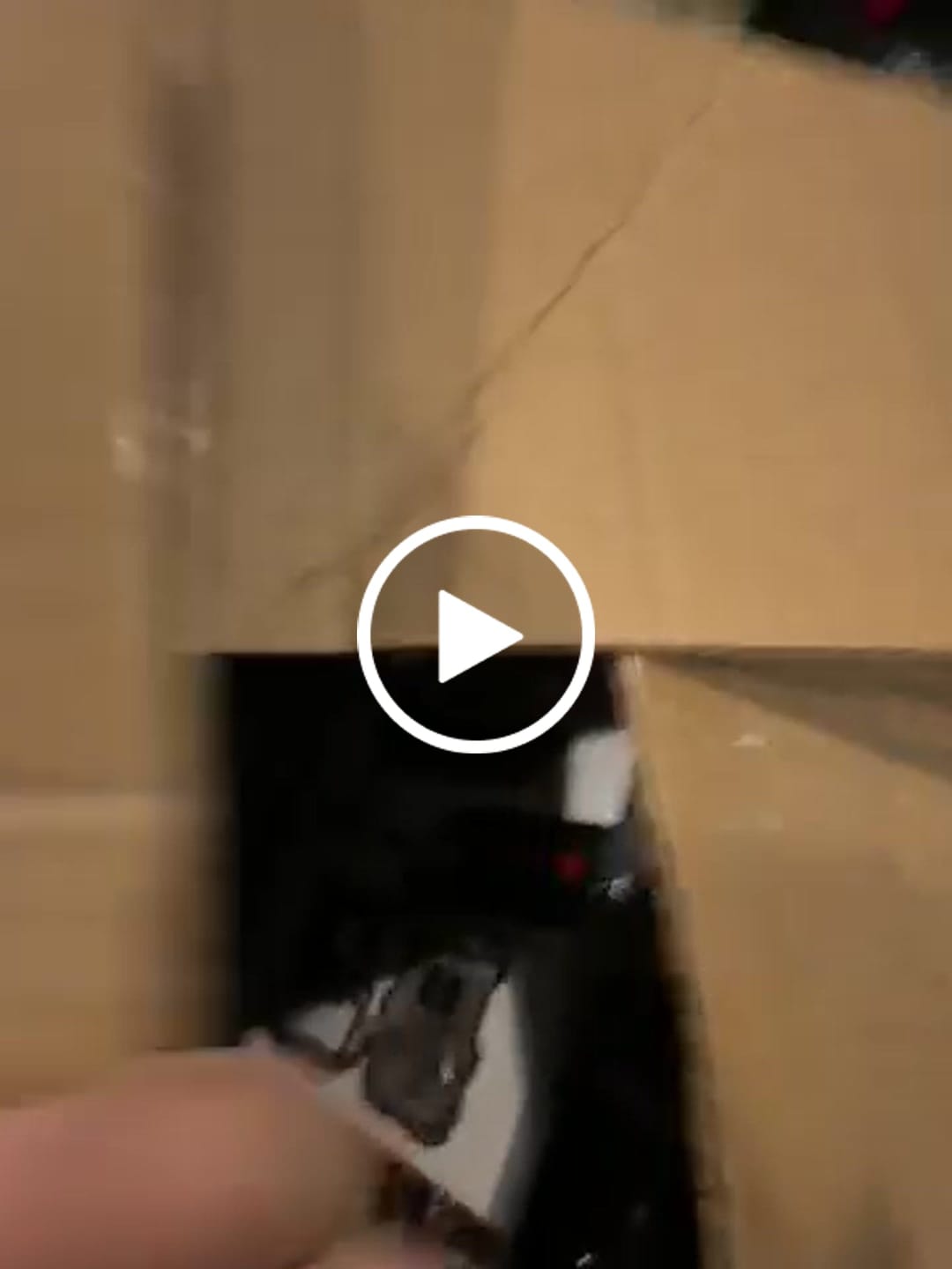 Customer video review of 4 for $50! - Tasco 12MP with Low Glow Infrared Flash Trail Camera