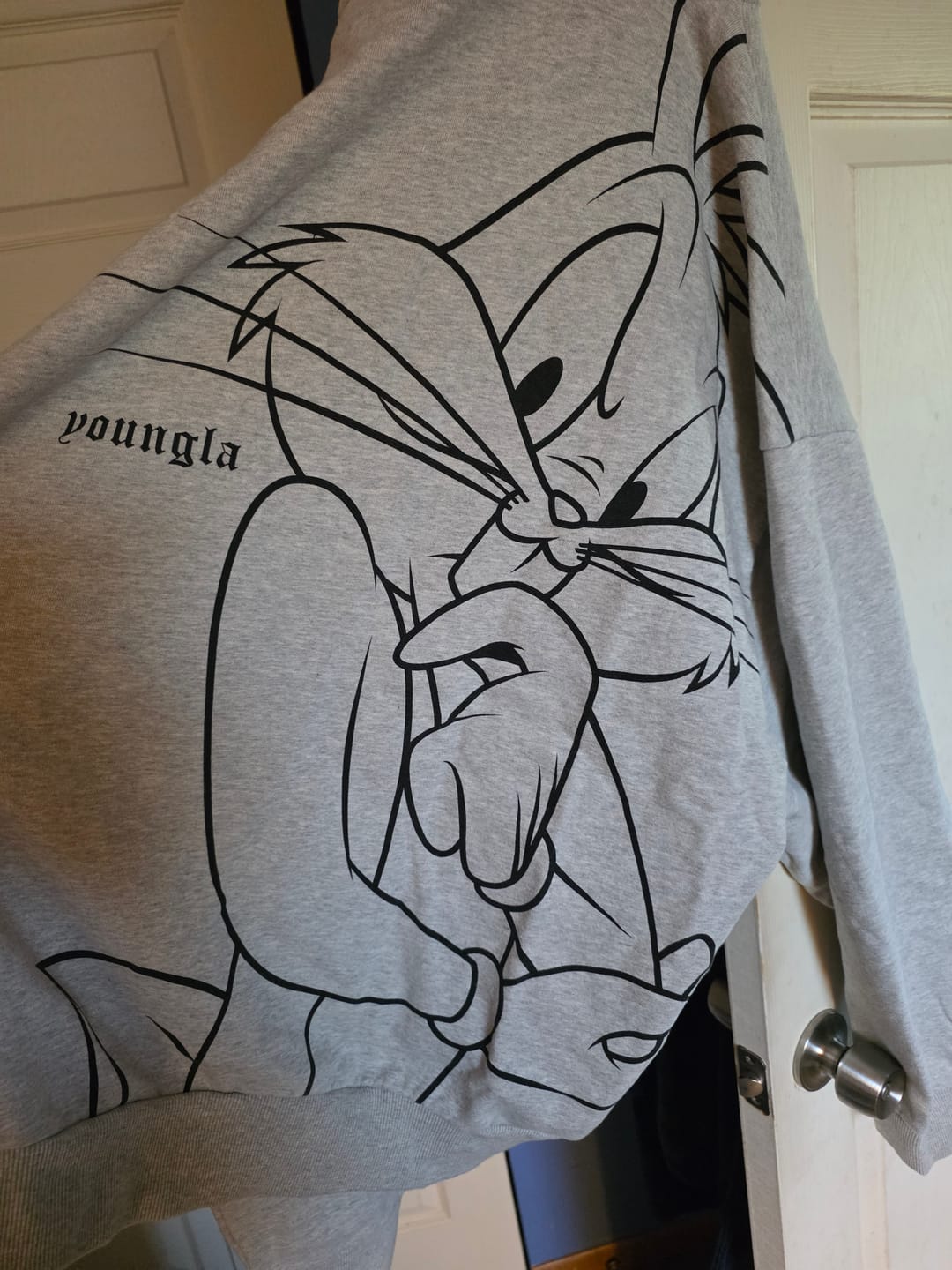 Customer photo review of 5257 - Looney Tunes Plaid Zip-Ups