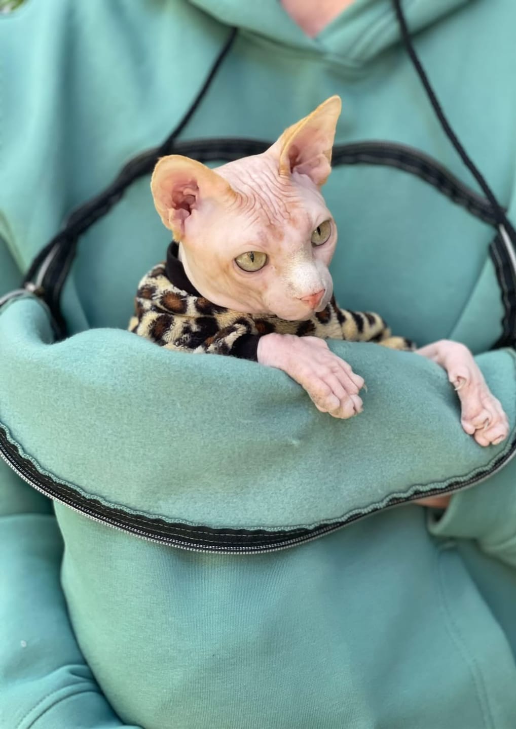 Customer photo review of Sungora™ Le Hoodie Minou