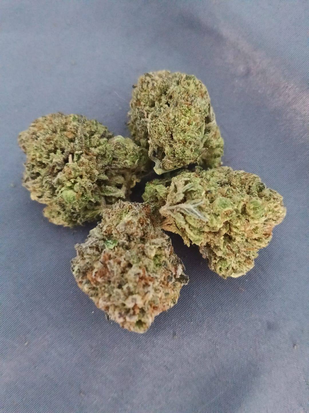 Customer photo review of Gorilla Glue THCA Flower (Purple Cut)