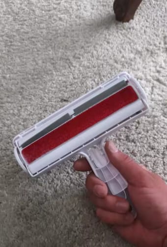 Customer photo review of Pawlounge™ Reusable Pet Hair Remover