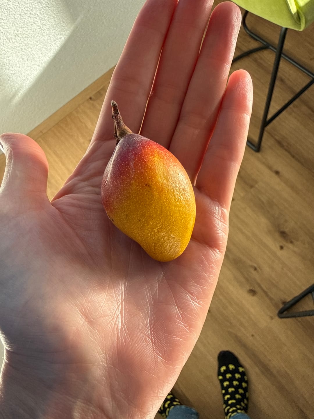 Customer photo review of Mini-Mango von Juan 3kg Retterbox %